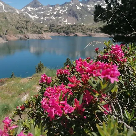 Con Encanto En شقة Sallent de Gállego